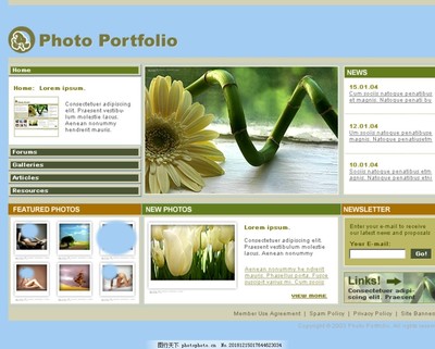 融合创新与科技 如何通过创意网页设计赋能科技咨询服务